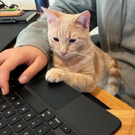 Jinyoung Lim Jinyoung Lim Github - Best Mountain Wallpapers in Desktop