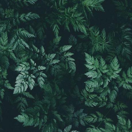 Sunrise1002 Github - Best Light Patterns in Full HD