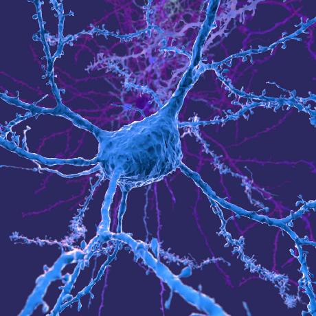 Williamsmithedward William Smith Github - Creative High Resolution Landscape Wallpapers | Free Download