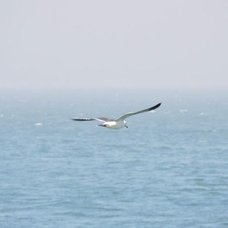 Code2play Tjh Github - Creative City Background - Retina