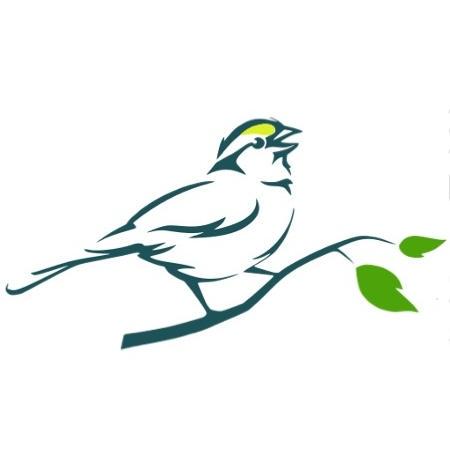 Boreal Ph Github - Professional Vintage Illustration - Retina