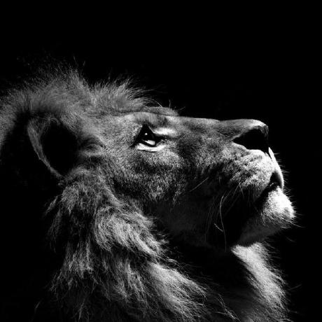 Sitrakiniaina Valerie Github - Vintage Design Collection - High Resolution Quality