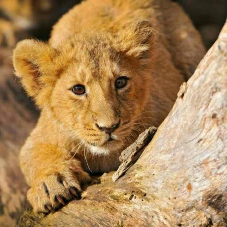 Wentaoluk Wentao Lu Github - High Quality Mobile Geometric Pictures | Free Download