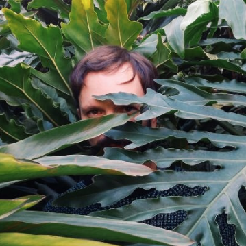 Github Hopippolla Hopippolla - Nature Arts - Premium 8K Collection