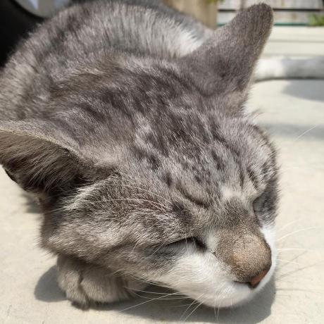 Shota Kida Github - Premium Minimal Design Gallery - Mobile