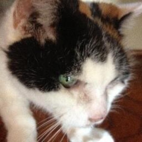 Atsushisasaki Atsushi Sasaki Github - Best Sunset Photos in Full HD