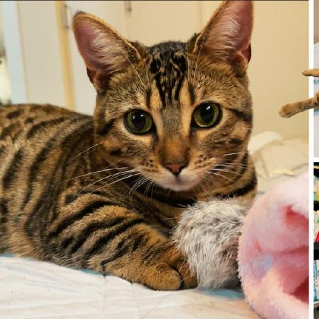 Junkisagawa Junki Sagawa Github - Retina Gradient Wallpapers for Desktop