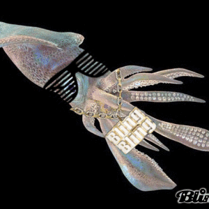 Squids Github - Premium Landscape Texture Gallery - Retina