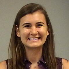 Trakgroves Groves Github - Premium Nature Background Gallery - Mobile