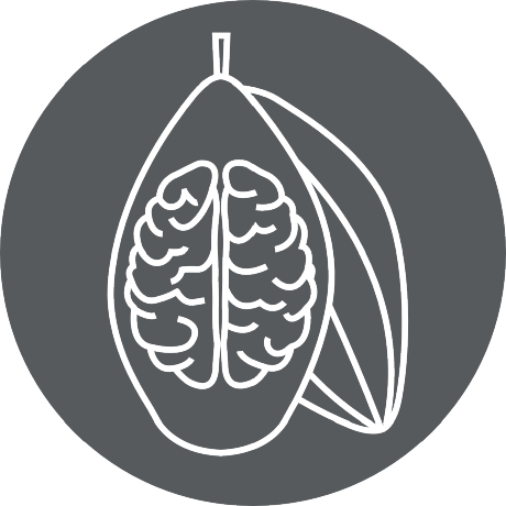 Github Cocoanlab Humanfmri Preproc Bids Codes For Preprocessing - High Quality Sunset Art - Full HD