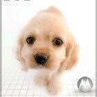 Tianlelu Tianle Lu Github - Best Space Designs in Retina