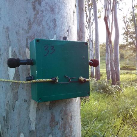 Qut Ecoacoustics Research Group Github - Desktop Vintage Wallpapers for Desktop