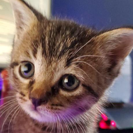 Github Rerumu Rerubi Legacy Lua Bytecode Interpreter Discontinued - Artistic Ultra HD Nature Textures | Free Download