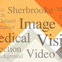 Github Vitalab Castor Cardiac Segmentation With Constraints Castor - Vintage Picture Collection - 8K Quality