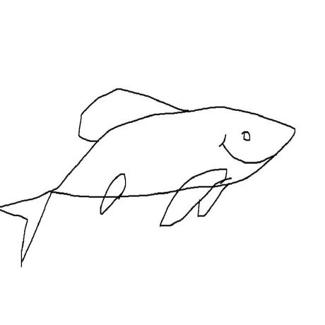 Max Manning Max Manning Github - Download High Quality Colorful Photo | 4K