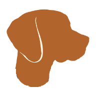 Vizsla Technologies Github - High Resolution Space Illustrations for Desktop