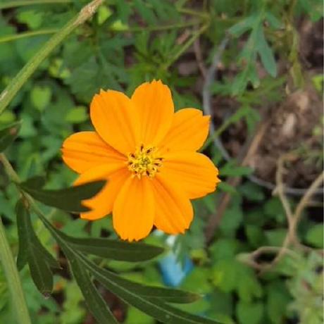 Github Minhnhut2004 Github Demo Nhut Doi - Incredible High Resolution Dark Wallpapers | Free Download