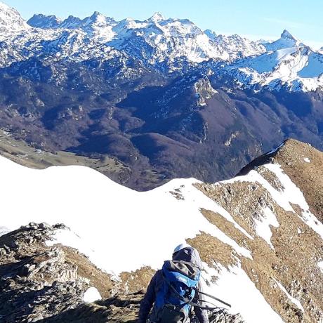 Github Iprada Circle Map A Method For Circular Dna Detection Based - Premium Nature Pattern Gallery - Mobile