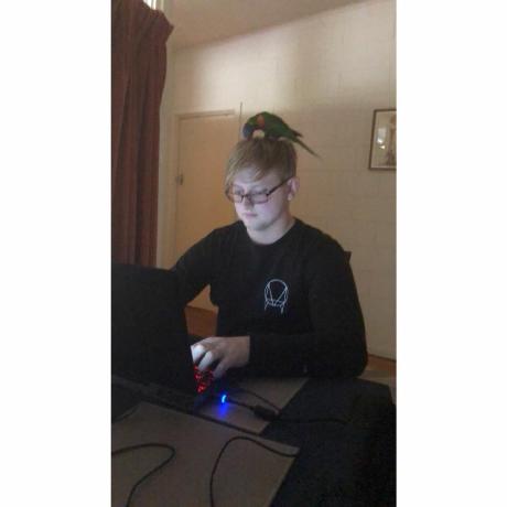 Pull Requests Soda3x Armareforgerservertool Github - High Quality Gradient Wallpaper - High Resolution