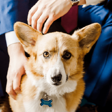 Github Generalsimus Colby - Modern Mobile Vintage Wallpapers | Free Download