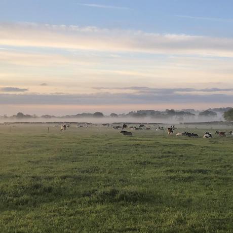 Barnett Ben Github - Best Light Arts in Desktop