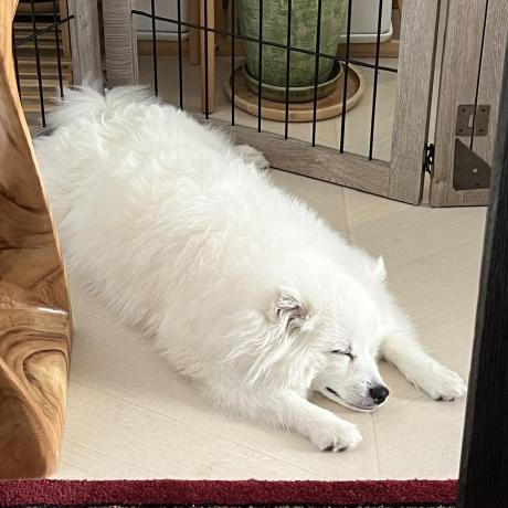 Zixing Zixing Github - Download Classic Nature Photo | HD