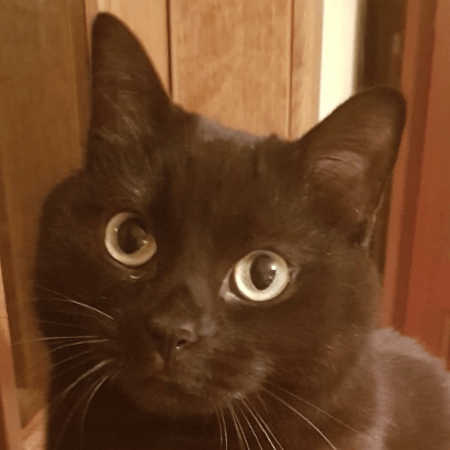 Dahua Console, access internal debug console and/or other researched  functions in Dahua devices. | PythonRepo