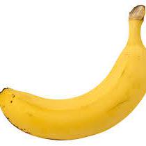 Github Mopber Csit - Incredible Nature Pattern - Mobile