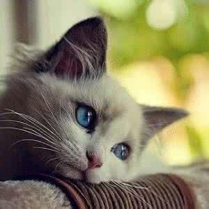 Vancestudios Vance Studios Github - Download Creative Abstract Photo | Full HD