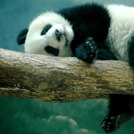 Github Revere7 Penet Steganalysis - Ultra HD Colorful Wallpapers for Desktop