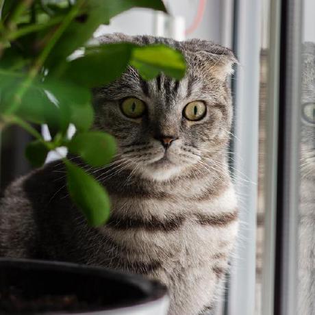 Extraferran Ferran Github - Nature Pictures - Stunning Desktop Collection