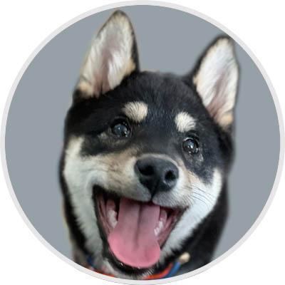 Aureliano Li Github - Best Space Illustrations in Full HD