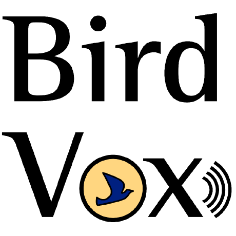 Birdx Github - Premium Landscape Design Gallery - Retina