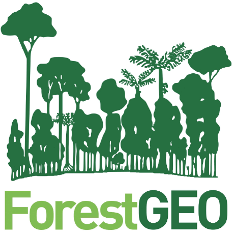 Github Forestgeo Learn Links To Interesting Articles Videos - Download Elegant Abstract Art | Ultra HD
