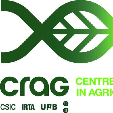 Crag Models Dummy Model Py At Main Facebookresearch Crag Github - Elegant 4K Vintage Designs | Free Download