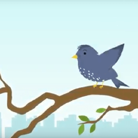 Github Dgsbird Bird Data Models This Repository Comprises The Sql - Download Elegant Vintage Texture | HD