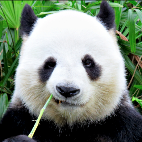 Lbm Principles Practice Github - Download Professional Nature Photo | Desktop