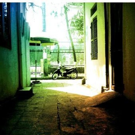 Github D Double Golden - Download High Quality Minimal Photo | 8K