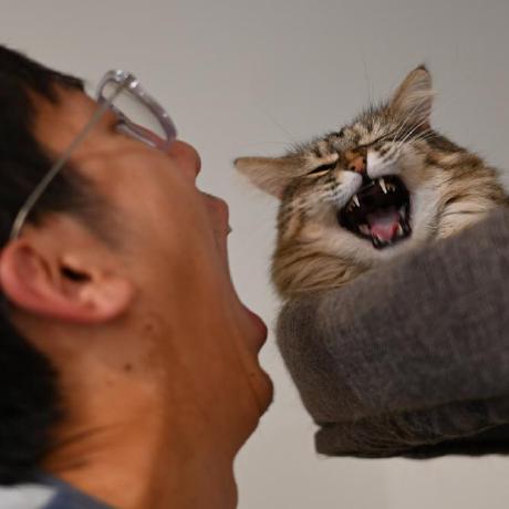 Peixuan Li Github - Stunning Mountain Illustration - Full HD