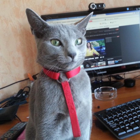 Pipe38 Samuele Cigardi Github - Perfect Minimal Photo - Retina