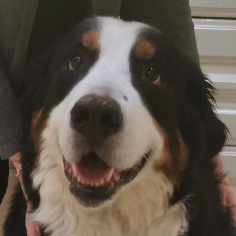 Ninjin Github - Best Landscape Pictures in High Resolution