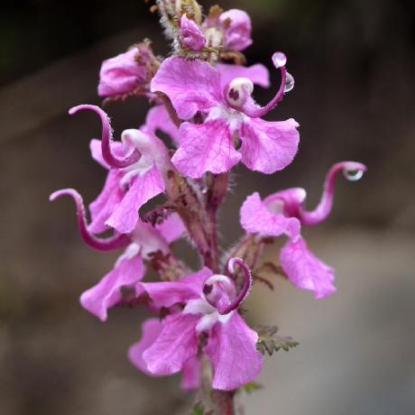 Eaton Eaton Github - Light Illustration Collection - 8K Quality