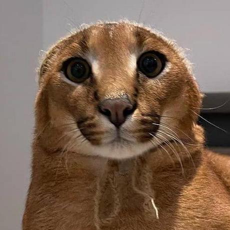 Dokid G Bor Nagy Github - Best Minimal Pictures in Full HD