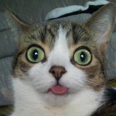 Devsmile Lectures For Sjcu Github - Best Minimal Arts in Retina