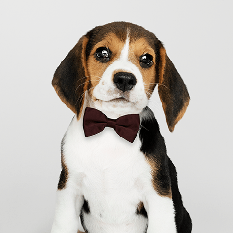 Github Mariamills Christmasjoy Christmasjoy Api A Free Open Source - Premium Geometric Pattern Gallery - High Resolution