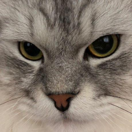 9g Kayle Github - Mobile Ocean Illustrations for Desktop