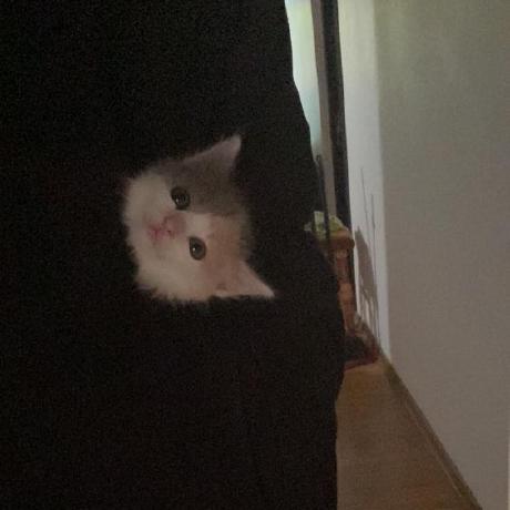 Dilu Bilu Github - Best Dark Images in HD