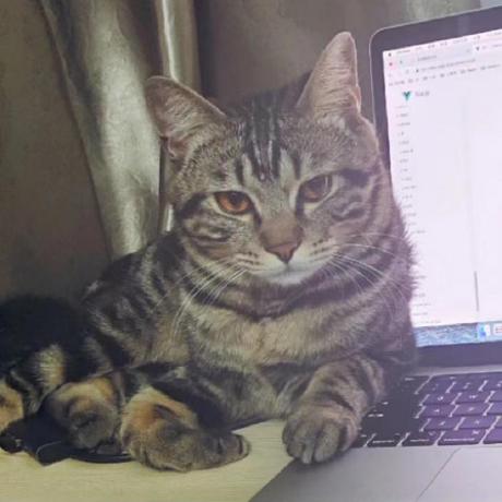 Yem Github - Gorgeous Sunset Picture - Retina