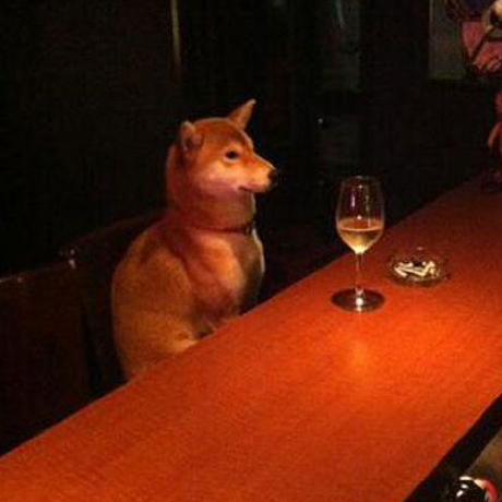 Github Got Projects Snow Crash - Download Professional Minimal Image | Ultra HD