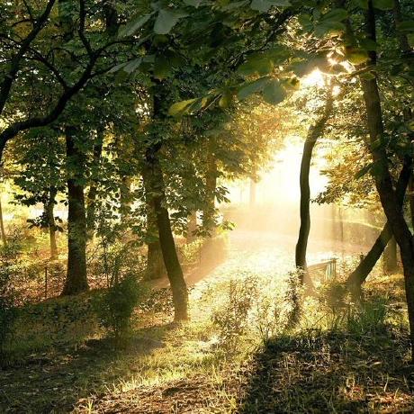 Wr Miss Github - Light Pattern Collection - Desktop Quality